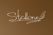 Fancy Signature TrueType Font, a Script Font by alphadesign (Thumbnail 4 of 5)