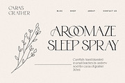 Gemola Serif Font – Elegant Font, a Serif Font by HansCo Studio (Thumbnail 3 of 10)