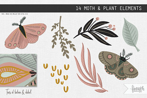 A MOTH GARDEN