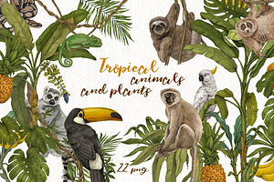 Tropical Jungle Animals, Plants Set