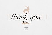 Sweetform - Serif & Sans Font Duo, a Serif Font by VP Fonts (Thumbnail 23 of 23)