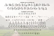 Country | Script Font, a Handwritten Font by Scratchones (Thumbnail 7 of 9)
