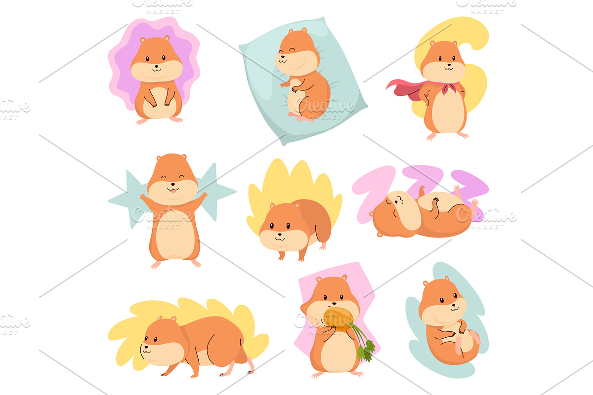 Cartoon hamsters set. Fluffy, an Animal Illustration by the8monkey