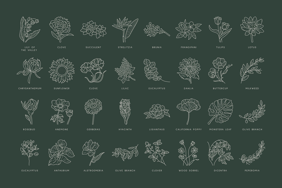 Floral Illustration Set, a Decorative Illustration by iStar Design (Photo 9 of 13)