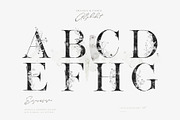 Evergarden Alphabets&Graphics, a Texture Illustration by The Everlasting Story (Thumbnail 13 of 33)