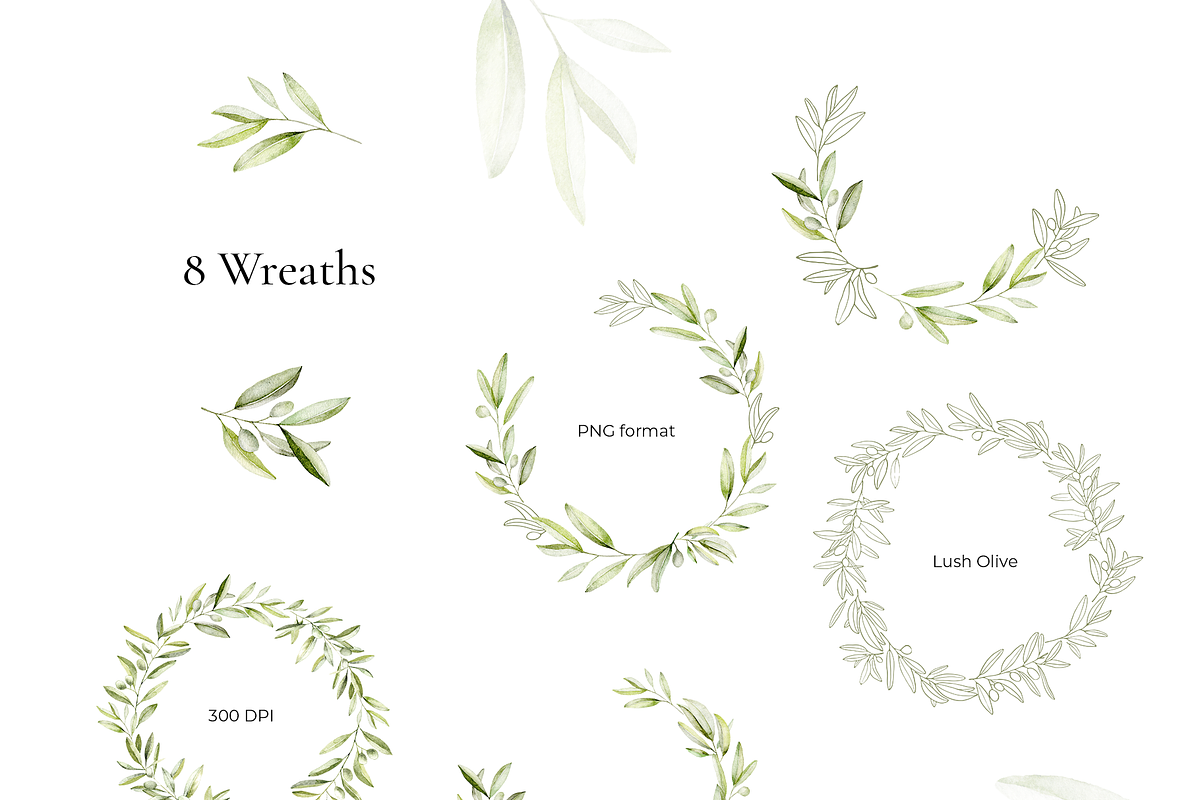 Olives – Watercolor & Line Art, a Decorative Illustration by Liliia Polos Illustration (Photo 3 of 12)