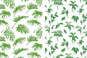 Green Tropical Patterns