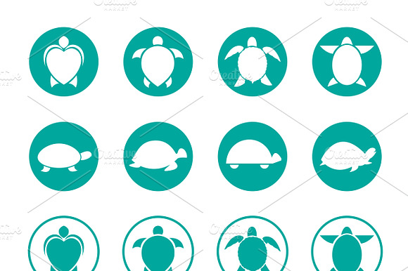 Vector Group Of Turtle.Wild Animals.