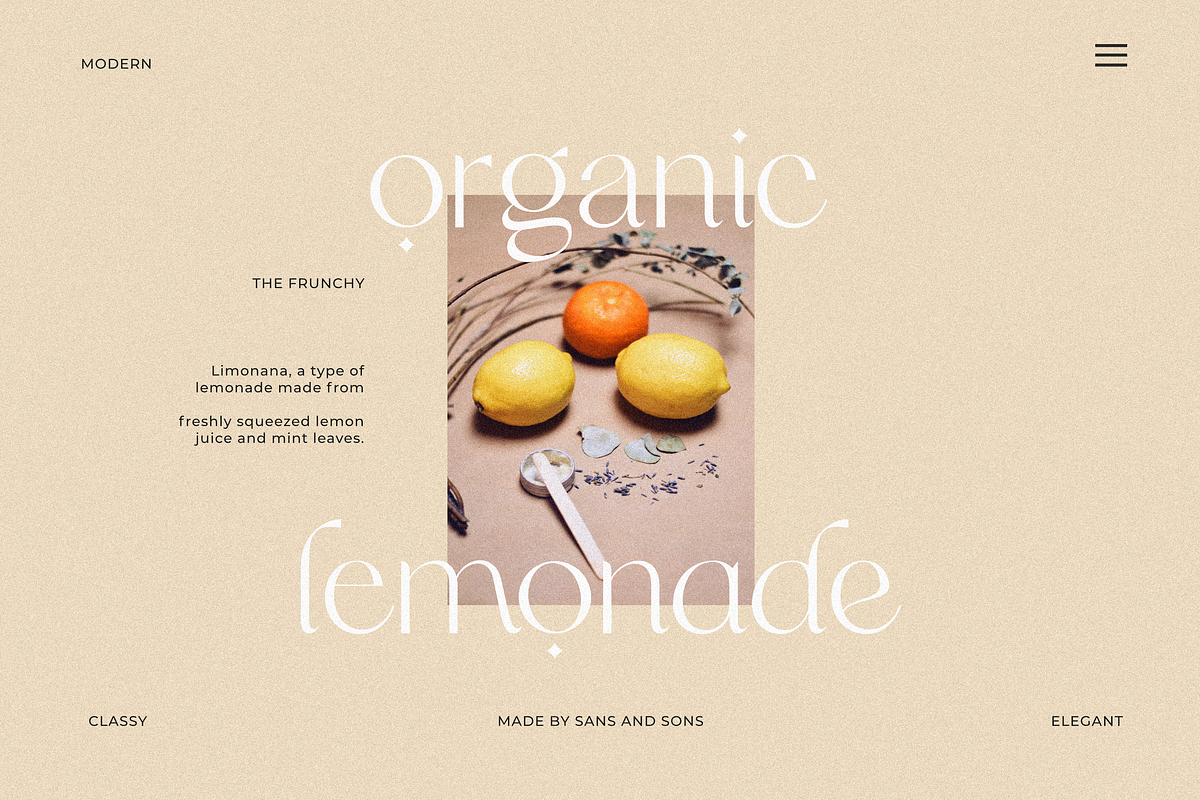 Frunchy - Modern Chic Font, a Sans Serif Font by Sans & Sons (Photo 6 of 9)