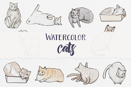 Watercolor Cats