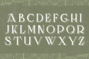 Mekicki, a Serif Font by Brendan Ciecko (Thumbnail 2 of 5)