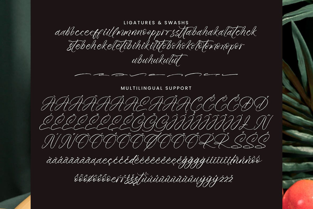 Roast Ritual, a Script Font by operatype.co (Photo 14 of 15)