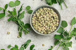 Dried green peas in bowl with fresh pea shoots on marble backgro, a Food & Drink Photo by Olena Rudo