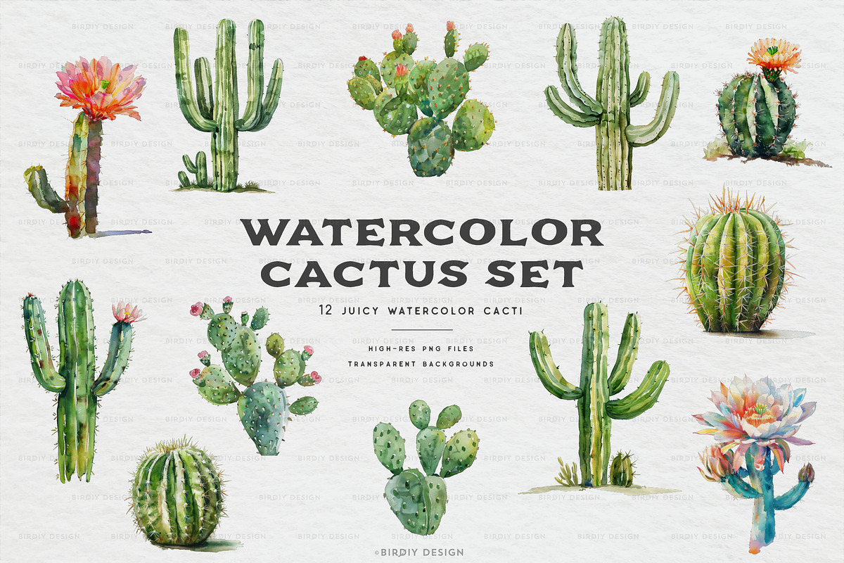 Watercolor Cactus Set, an Object Illustration by BirDIY Design (Photo 1 of 6)