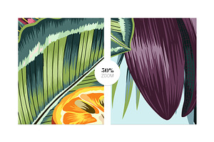 Tropicales Luxury Pattern Design!