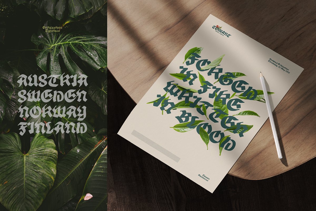 Tomant Blackletter Font, a Blackletter Font by Erifqizefont (Photo 6 of 10)