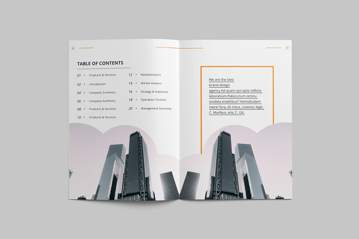 Brochure 2020, a Brochure Template by Tanber Hossen (Photo 10 of 14)