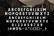 Gladius Vintage Display Typeface, a Sans Serif Font by edukka (Thumbnail 8 of 8)
