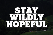 Bush Quzoq Font | Bold Chunky Serif, a Serif Font by Koplexs Studio (Thumbnail 2 of 10)