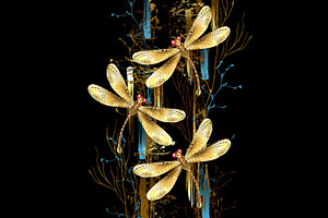 Three Golden Dragonflies