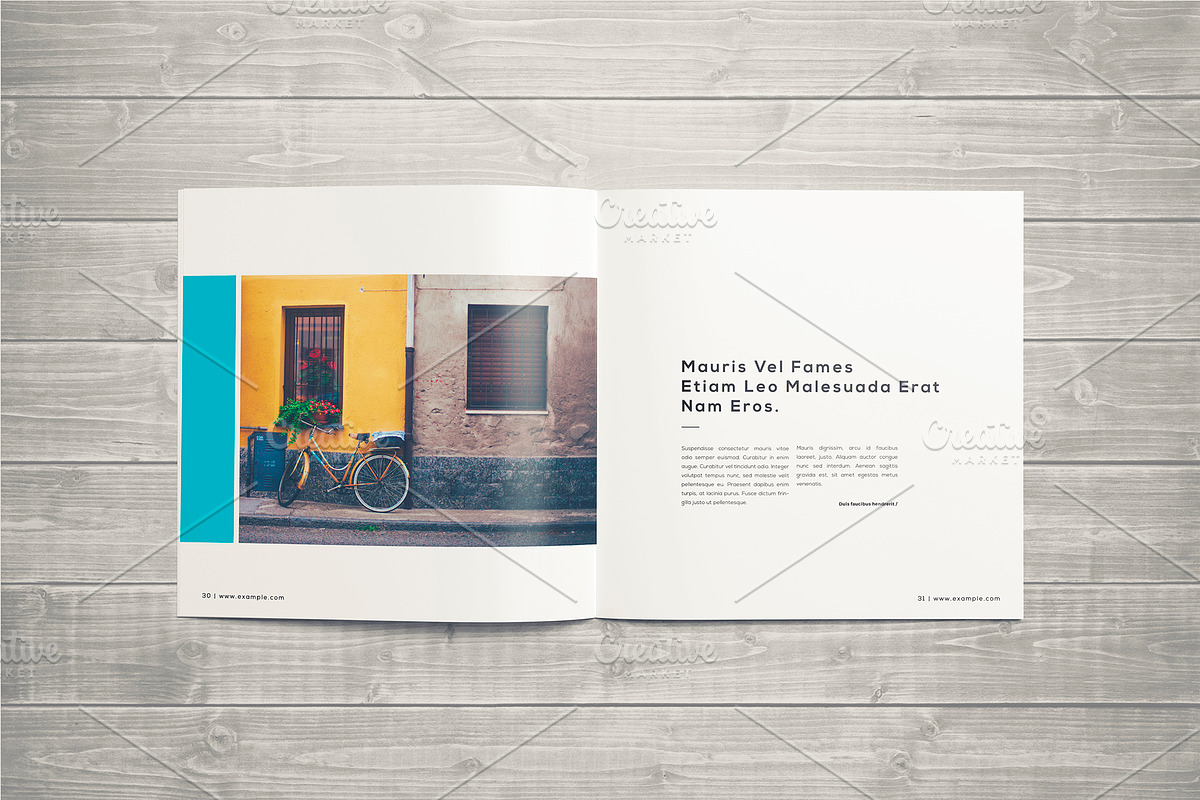 Photography Portfolio Template, a Brochure Template by ShapShapy (Photo 20 of 21)