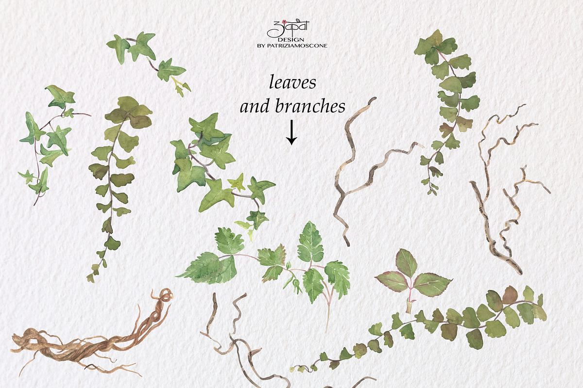 Berries, an Illustration by patriziamoscone (Photo 3 of 9)