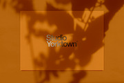 Kage - Botanical Shadow Overlays, a Texture Graphic by Studio Yorktown (Thumbnail 10 of 10)