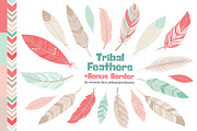Mint & Coral Feathers Clipart, an Illustration by Amanda Ilkov (Thumbnail 1 of 4)