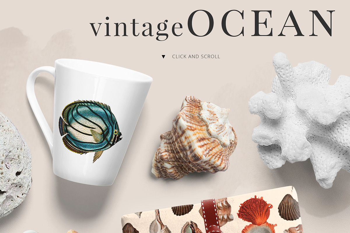 Ocean Symphony vintage design set, an Object Graphic by Beauty Drops (Photo 2 of 13)