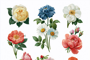 Vintage botanic collection with various kinds of garden flowers including roses, an Illustration by Studio ANNA