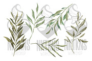 Greenery Watercolor Clipart, a Decorative Illustration by NKTKNS (Thumbnail 2 of 9)