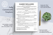 ATS Friendly Resume Design Bundle, a Resume Template by The Art of Resume (Thumbnail 3 of 8)