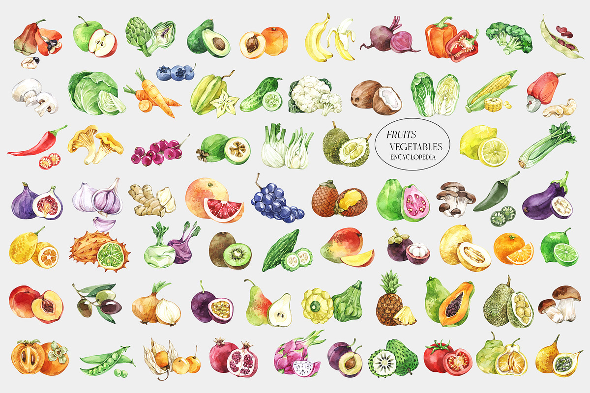 Fruits and Vegetables Encyclopedia, a Food Illustration by Anastezia Luneva (Photo 9 of 9)