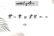 wing, a Script Font by cocodesign (Thumbnail 8 of 8)