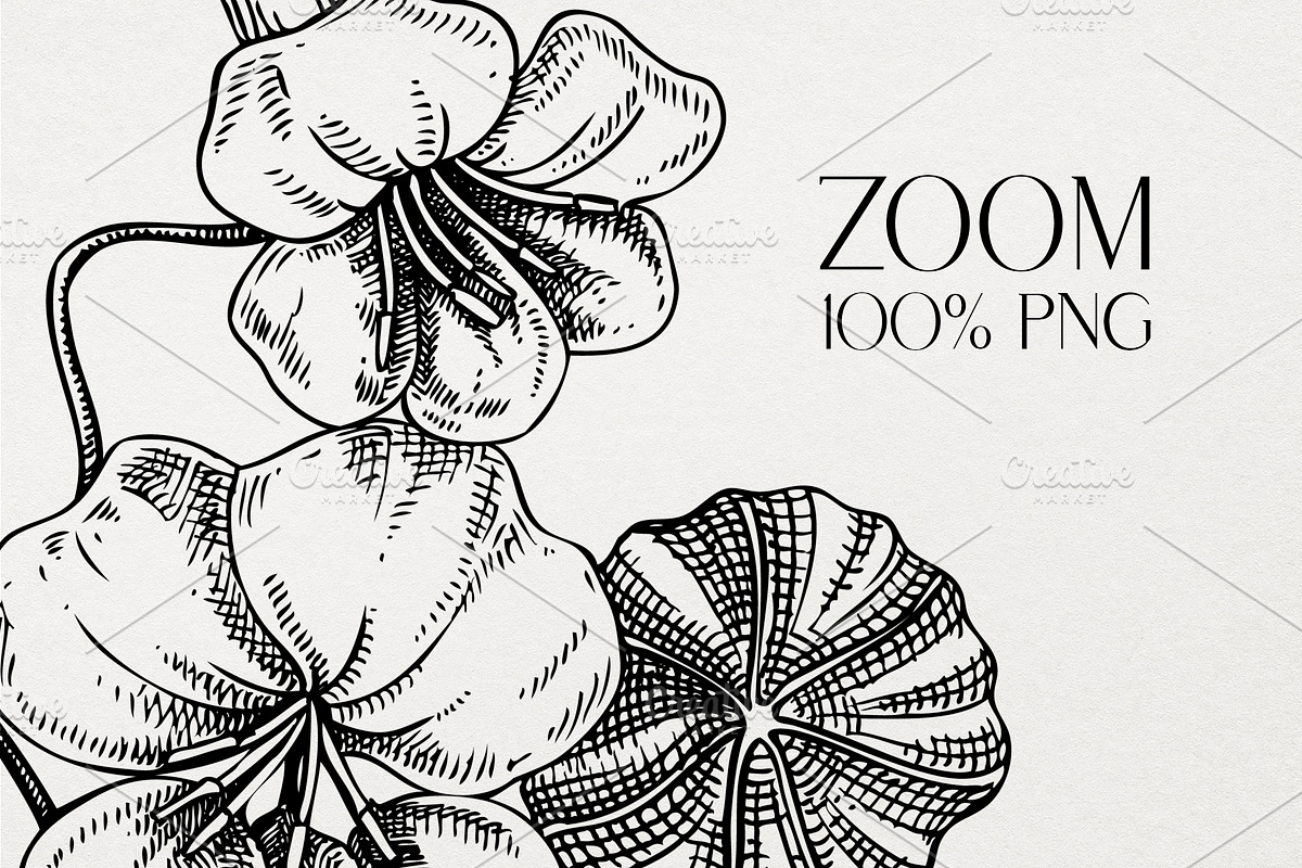 Vector Animals & Summer Flowers Set, a Seasonal Illustration by Yevheniia (Photo 6 of 14)