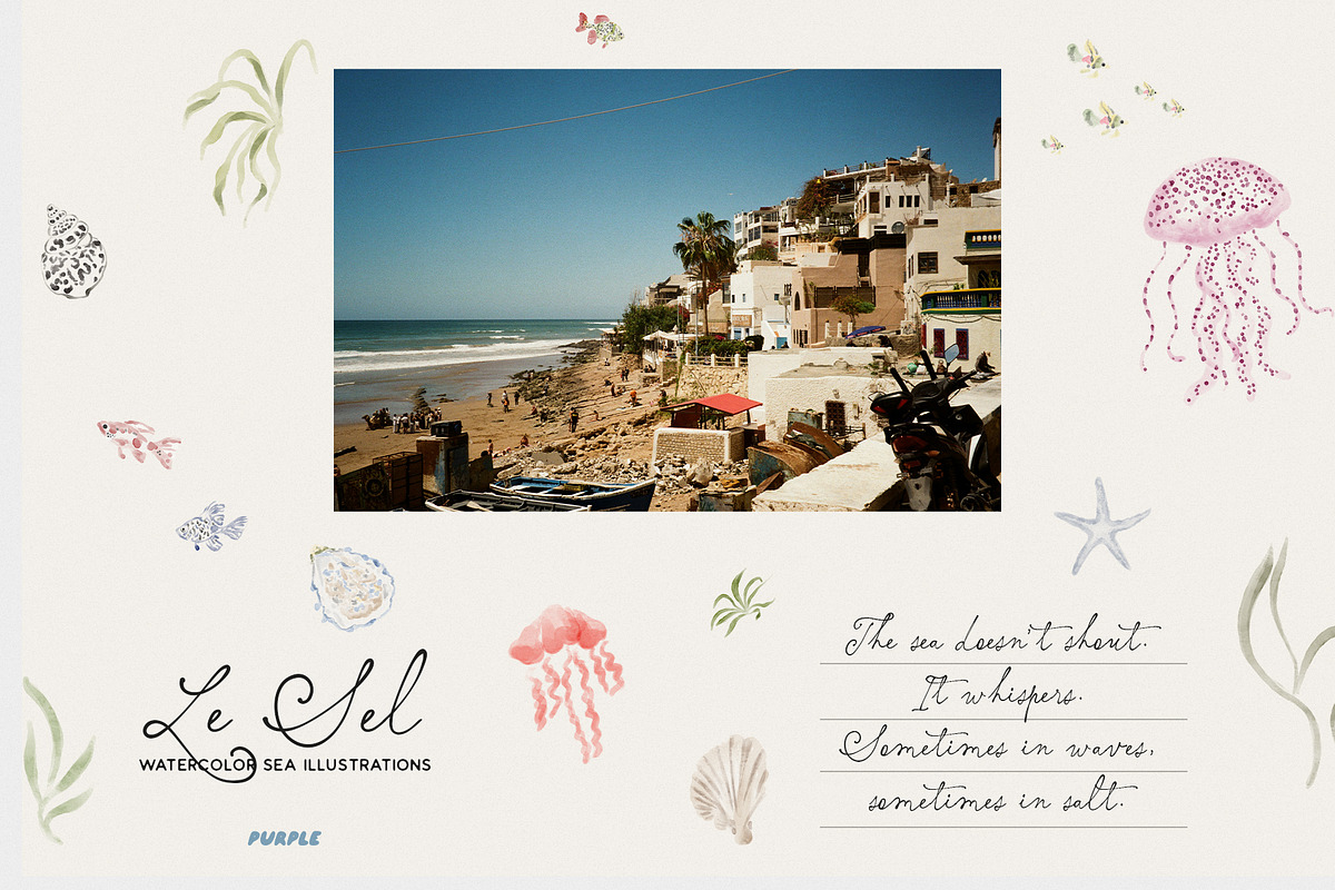 Le Sel: Watercolor Sea Illustrations, a Decorative Illustration by Purple (Photo 3 of 12)