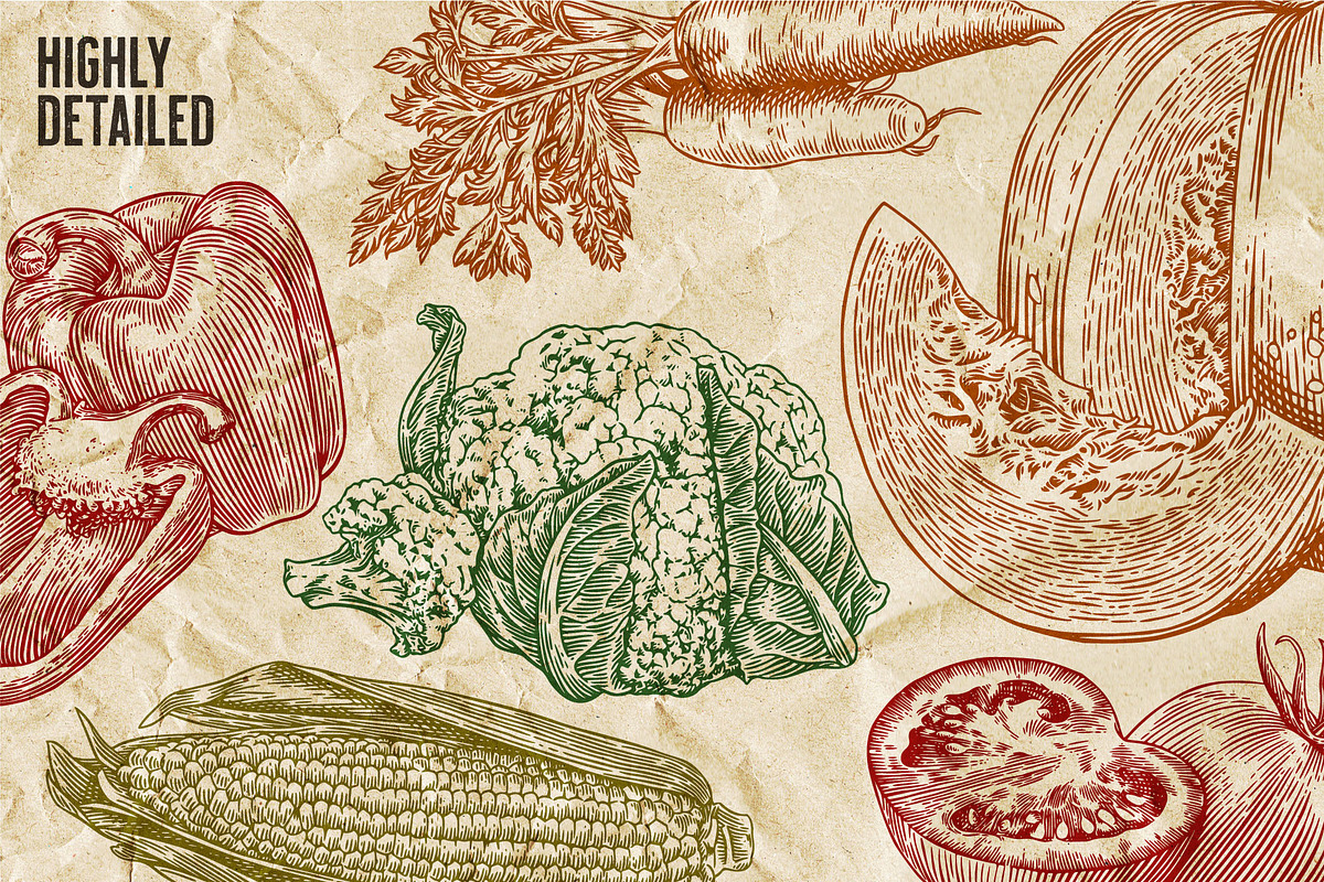 Fruits and Vegetables Illustrations, an Illustration by Heritage Type Co. (Photo 4 of 8)