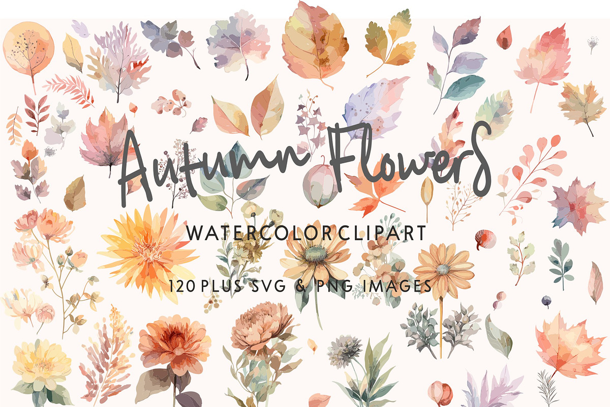 Autumn Flowers Watercolor SVG Images, a Seasonal Illustration by Image Design (Photo 4 of 4)