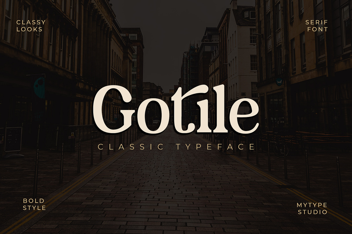 Serif & Sans Serif Font Bundle, a Sans Serif Font by Mytype Studio (Photo 4 of 22)