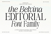 The Belvina Editorial 13 Font Style, a Serif Font by IM Studio (Thumbnail 1 of 14)