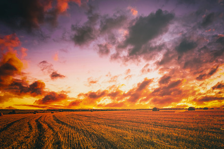 Sunset on the field with haystacks in Autumn season. Rural lands, a Nature Photo by Eugene_Photo