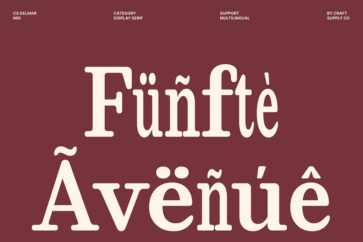 CS Delmar Mix, a Serif Font by Craft Supply Co. (Photo 7 of 8)