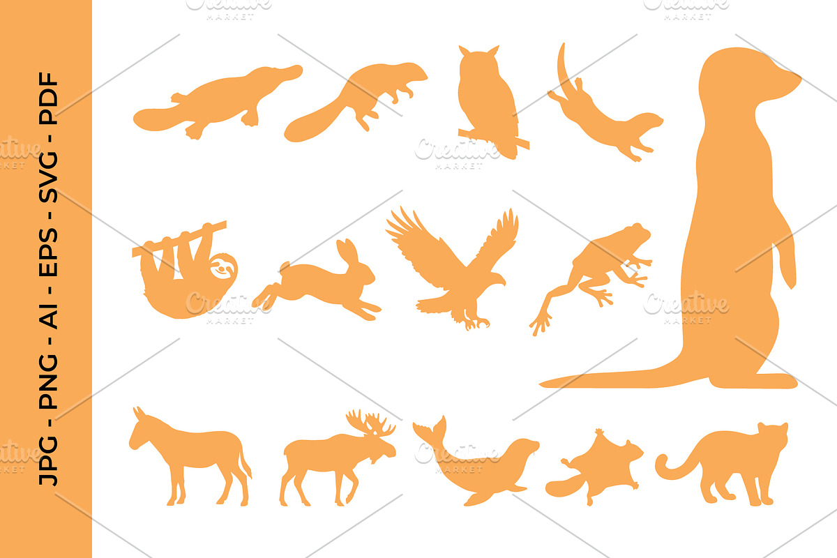 Animal Silhouette Collection Set, an Object Graphic by nandinigraphics (Photo 6 of 7)