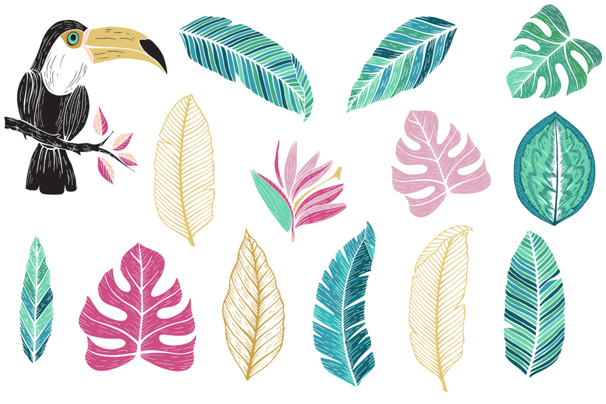 Tropics.Vector Art., an Animal Illustration by TashaDraw (Photo 3 of 9)
