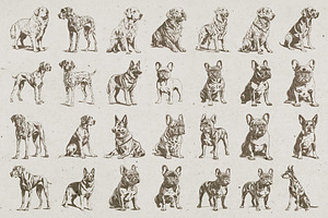 215 Dog Illustrations