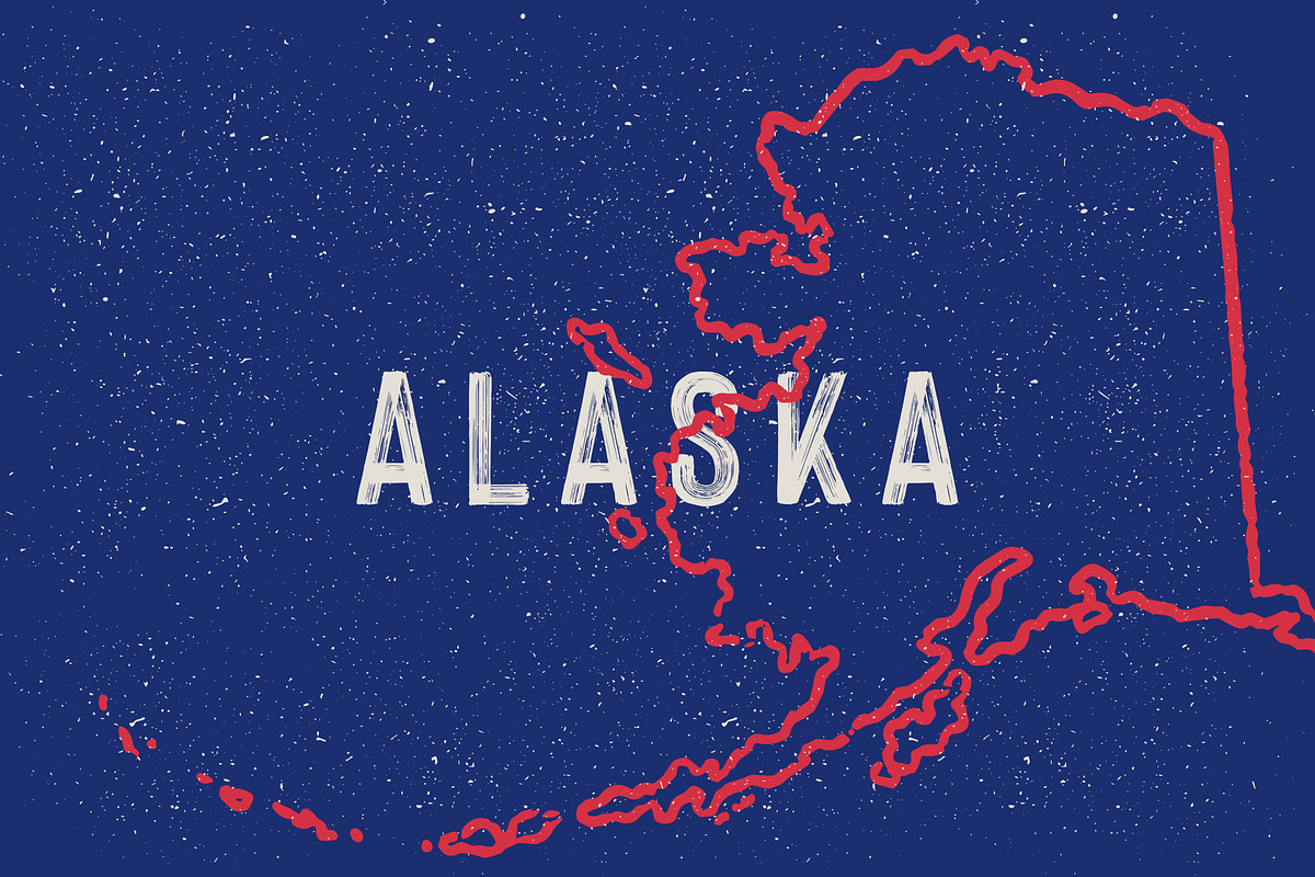 USA 50 States Map Shapes, an Object Graphic by Nocturnal Workspace (Photo 8 of 8)