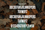 Queenista Sans Serif Font Typeface, a Sans Serif Font by Graphicxell (Thumbnail 5 of 5)