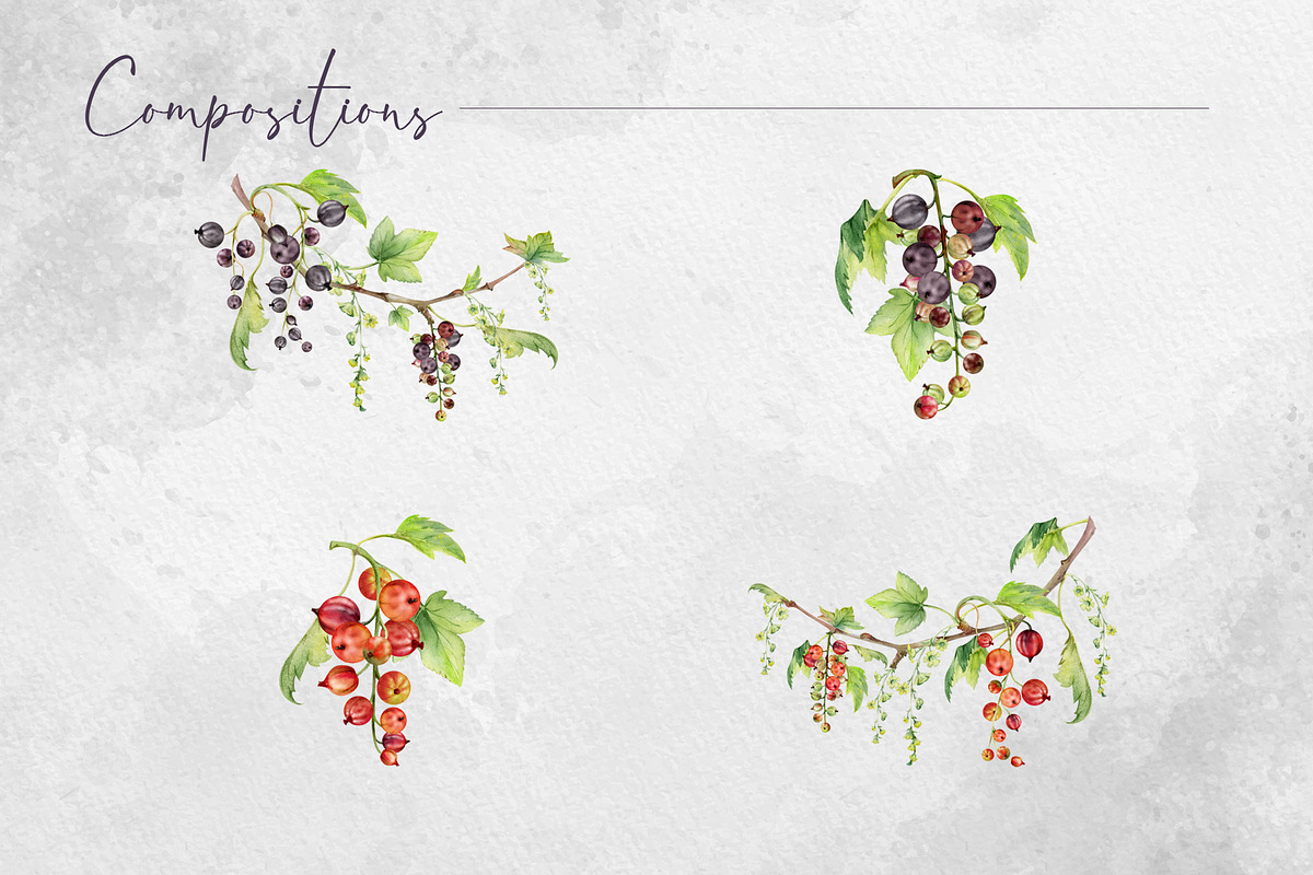 Currant blossom, a Decorative Illustration by MsFlaffy (Photo 3 of 9)