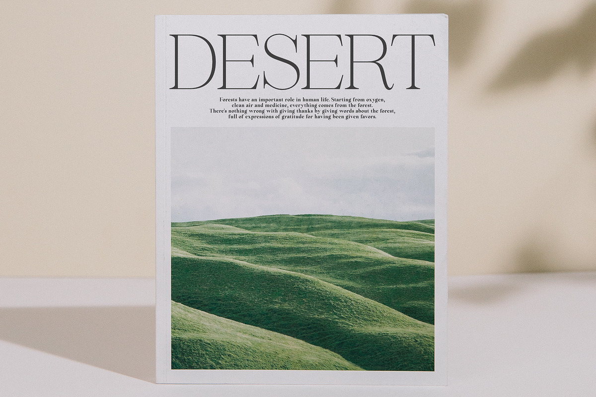 Beautiful Comethrue Family 54 Fonts, a Serif Font by Sealoung (Photo 17 of 18)