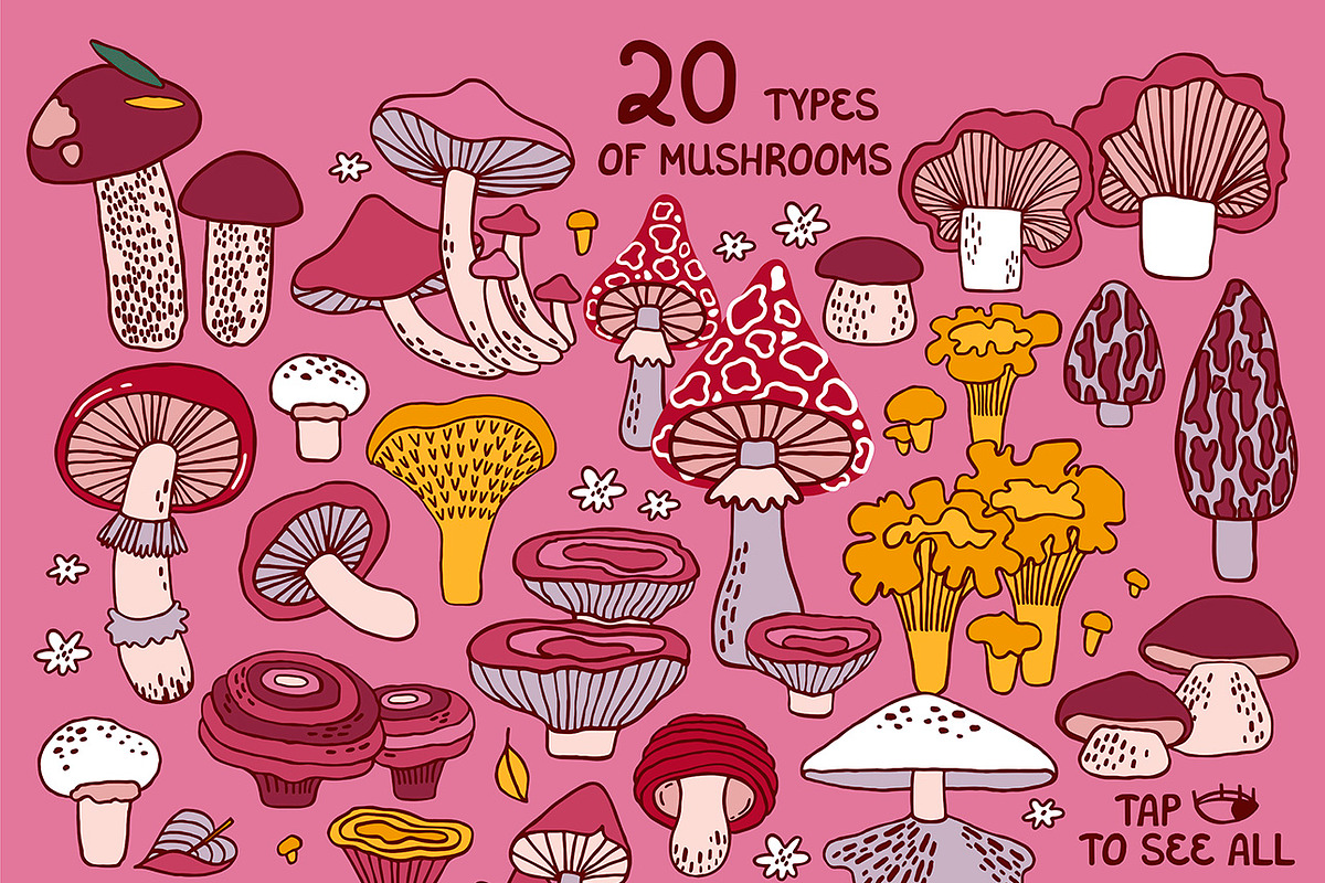 MUSHROOMS | graphics set, a Food Illustration by Nastya Tkachova (Photo 3 of 10)